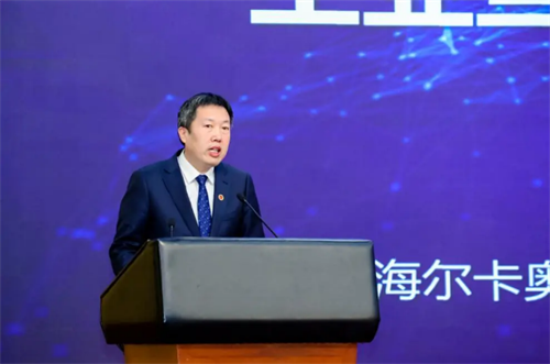 图片7