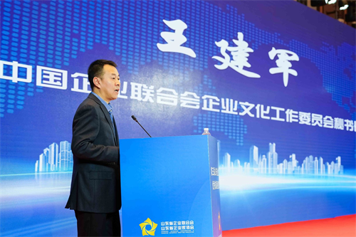 图片8