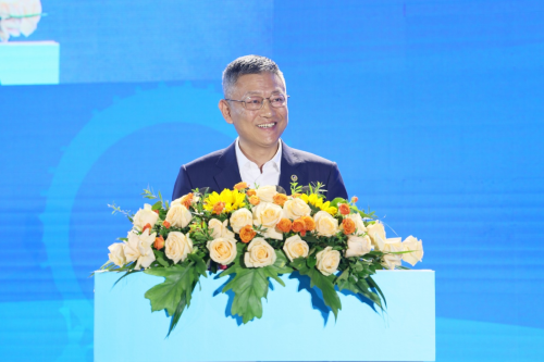 图片8