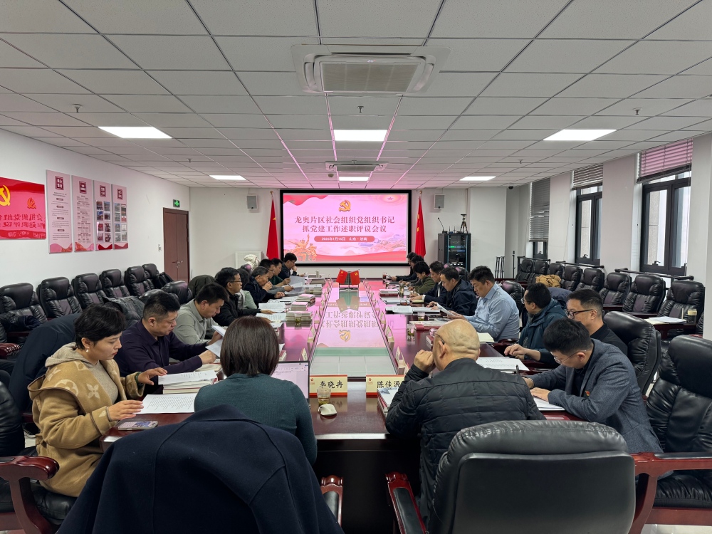 龙奥片区社会组织党组织书记抓党建工作述职评议会议顺利召开